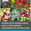 Intratuin Blumenzwiebel-Mischung mit duftenden Blumen 58 St.| Frühlings-Blüher|Blumenzwiebeln