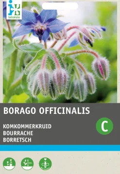 Intratuin Borretsch (Borago officinalis) Samen| Gemüsesamen|Saatgut