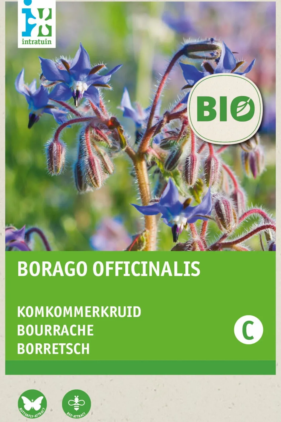 Intratuin Borretsch (Borago officinalis) (BIO) Samen| Kräutersamen|Saatgut