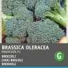 Intratuin Brokkoli (Brassica oleracea 'Premium Crop') Samen| Gemüsesamen|Saatgut