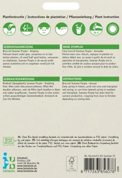 Intratuin Brokkoli (Brassica italicum 'Summer Purple') Samen| Gemüsesamen|Saatgut