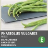 Intratuin Buschbohne (Phaseolus vulgaris 'Haricot Vert Argus') Samen| Gemüsesamen|Saatgut