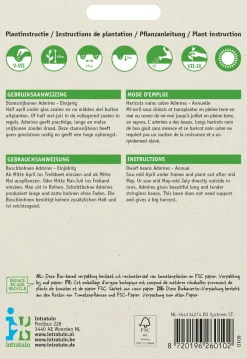 Intratuin Buschbohne (Phaseolus vulgaris 'Admires') Samen| Gemüsesamen|Saatgut