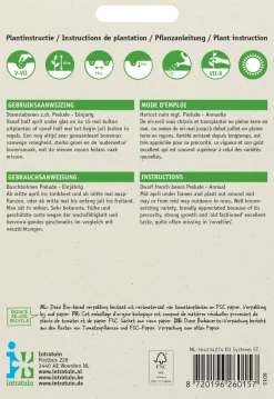 Intratuin Buschbohne (Phaseolus vulgaris 'Prelude') Samen| Gemüsesamen|Saatgut