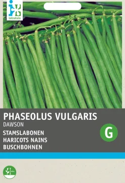 Intratuin Buschbohne (Phaseolus vulgaris 'Sonate') Samen| Gemüsesamen|Saatgut