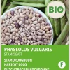 Intratuin Busch-Trockenbohne (Phaseolus vulgaris 'Stammkievit') (BIO) Samen| Gemüsesamen|Saatgut