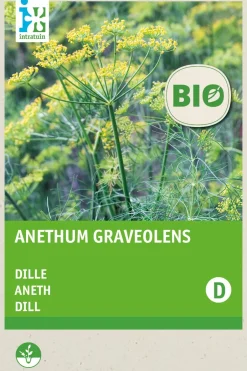 Intratuin Dill (Anethum graveolens) (BIO) Samen| Kräutersamen|Saatgut