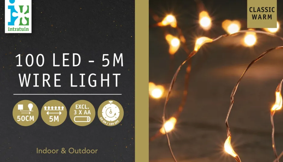 Intratuin Drahtlichterkette kupfer 5 m außen mit LEDs klassisch warm| Mini- & Drahtlichterketten