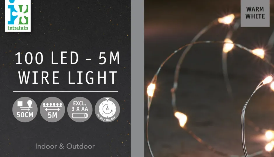Intratuin Drahtlichterkette silber 5 m außen mit LED warmweiß| Mini- & Drahtlichterketten