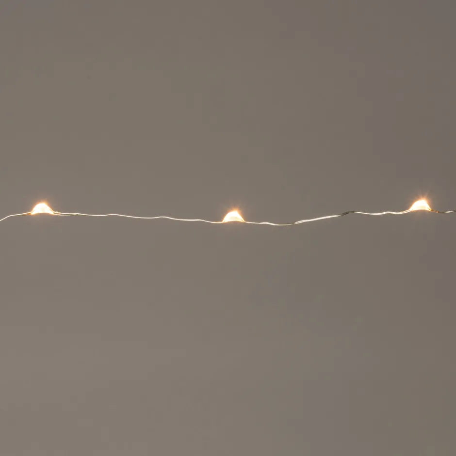 Intratuin Drahtlichterkette silber 2 m außen mit LED warmweiß| Mini- & Drahtlichterketten