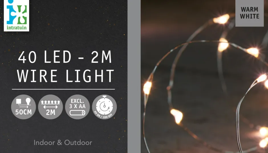 Intratuin Drahtlichterkette silber 2 m außen mit LED warmweiß| Mini- & Drahtlichterketten