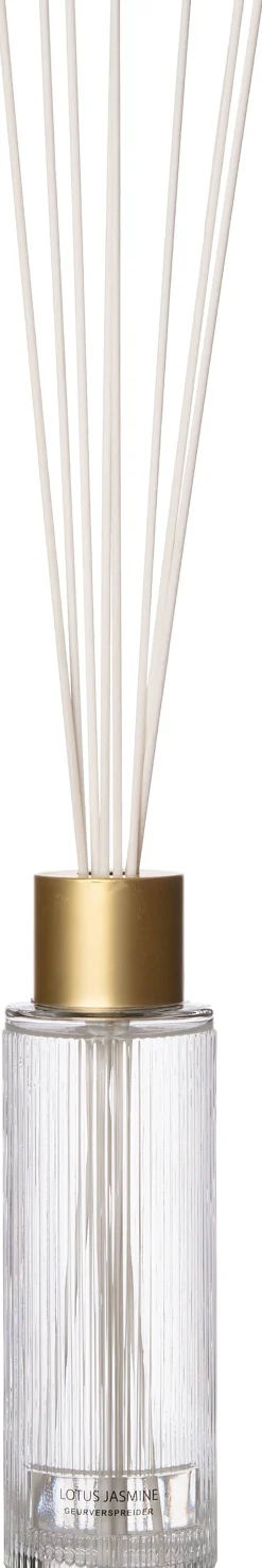 Intratuin Duftstäbchen May Vanilla Patchouli 430 ml| Duftstäbchen