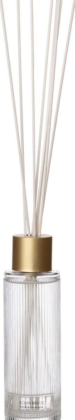 Intratuin Duftstäbchen May Ocean Breeze 430 ml| Duftstäbchen