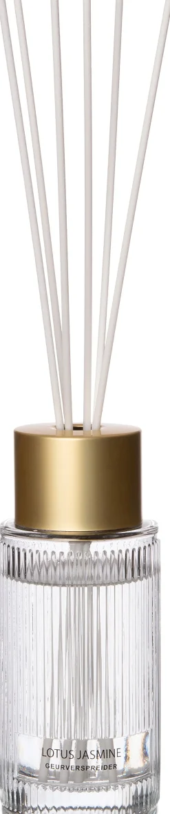 Intratuin Duftstäbchen May Vanilla Patchouli 200 ml| Duftstäbchen