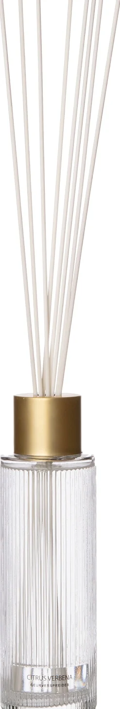 Intratuin Duftstäbchen May Citrus Verbena 430 ml| Duftstäbchen