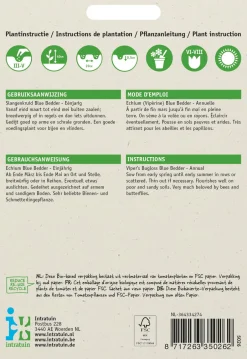 Intratuin Echium (Echium plantagineum 'Blue Bedder') Blumensamen| Saatgut|Blühende Pflanzen