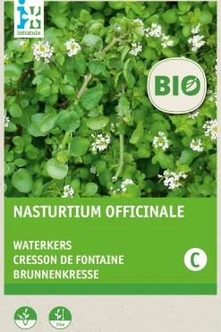Intratuin Echte Brunnenkresse (Nasturtium officinale) (BIO) Kressesamen| Kräutersamen|Saatgut