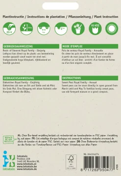 Intratuin Edelwicke (Lathyrus odoratus 'Royal family') Blumensamen-Mischung| Saatgut|Blühende Pflanzen