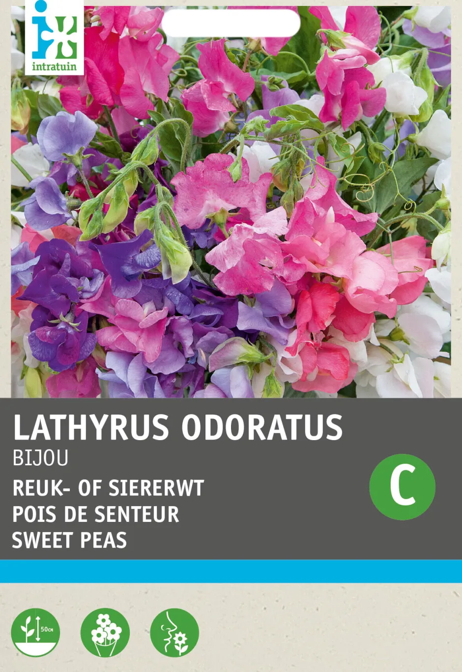Intratuin Edelwicke (Lathyrus odoratus 'Bijou') Blumensamen-Mischung| Saatgut|Blühende Pflanzen