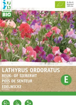 Intratuin Edelwicke (Lathyrus odoratus 'Old Spice') (BIO) Blumensamen| Saatgut|Blühende Pflanzen