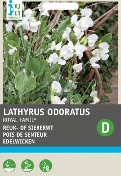 Intratuin Edelwicke weiß (Lathyrus odoratus 'Royal Family') Blumensamen| Blühende Pflanzen|Saatgut