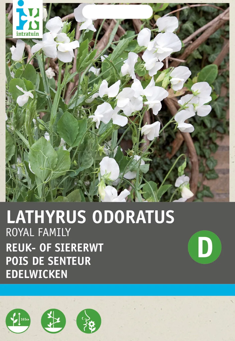 Intratuin Edelwicke weiß (Lathyrus odoratus 'Royal Family') Blumensamen| Blühende Pflanzen|Saatgut