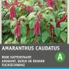 Intratuin Fuchsschwanz (Amaranthus caudatus) Blumensamen| Saatgut|Blühende Pflanzen