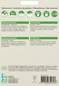 Intratuin Glockenblume weiß (Campanula persicifolia) Blumensamen| Saatgut|Blühende Pflanzen