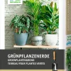 Intratuin Grünpflanzenerde 15 l| Pflanzerde & Substrat|Erde