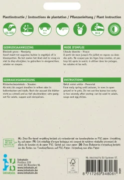 Intratuin Grober Schnittlauch / Winterheckezwiebeln (Allium fistulosum) Samen| Kräutersamen|Saatgut