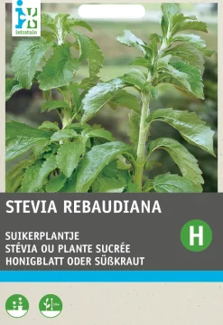 Intratuin Honigblatt / Süßkraut (Stevia reboudiana) Samen| Kräutersamen|Saatgut