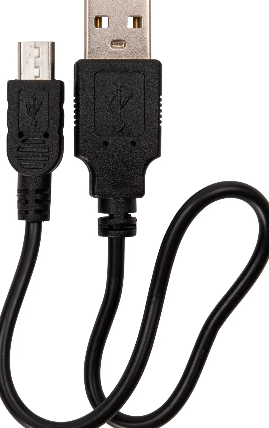 Intratuin Hundehalsband LED gelb 15-65 cm| Hundegeschirr & -Leinen