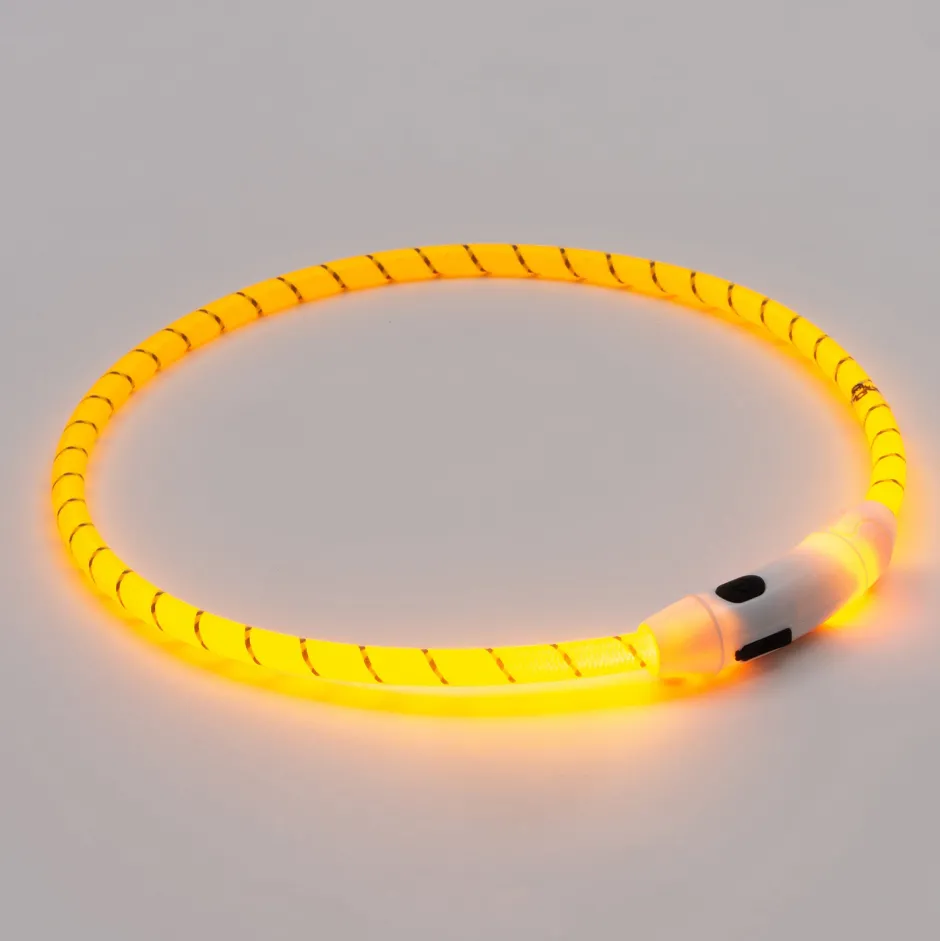 Intratuin Hundehalsband LED gelb 65 cm| Hundegeschirr & -Leinen