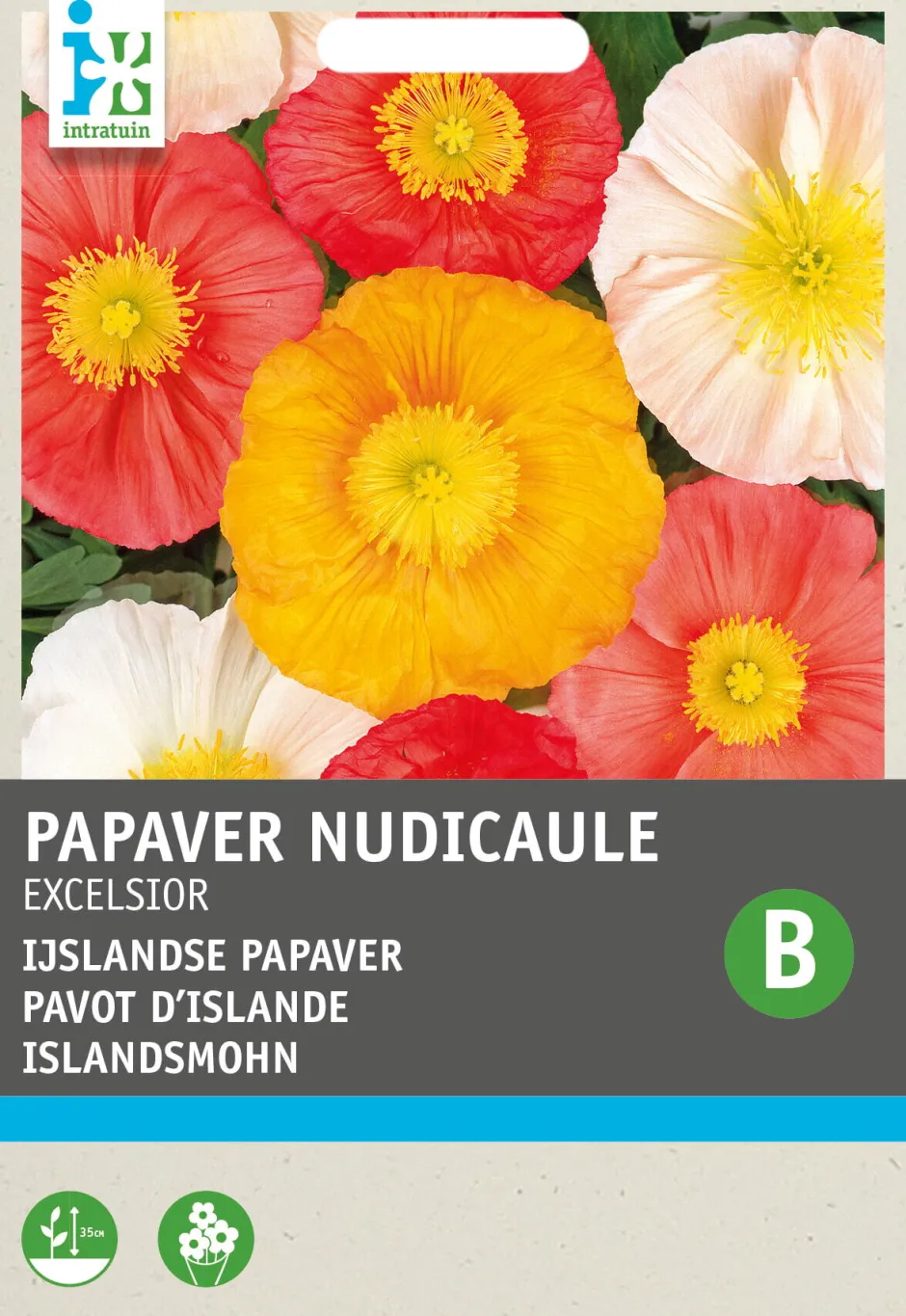 Intratuin Islandmohn (Papaver nudicaule 'Excelsior') Blumensamen-Mischung| Saatgut|Blühende Pflanzen