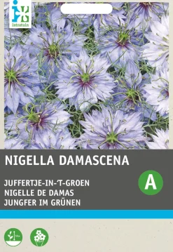 Intratuin Jungfer im Grünen (Nigella damascena 'Miss Jekyll') Blumensamen| Saatgut|Blühende Pflanzen