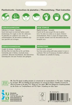 Intratuin Jungfer im Grünen (Nigella damascena 'Miss Jekyll') Blumensamen| Saatgut|Blühende Pflanzen