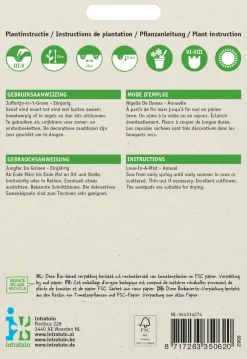 Intratuin Jungfer im Grünen (Nigella damascena 'Persian Jewels') Blumensamen| Saatgut|Blühende Pflanzen