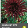 Intratuin Kaktusdahlie (Dahlia cactus 'Nuit d'ete') Blumenzwiebel 1 St.| Sommer-Blüher|Blumenzwiebeln