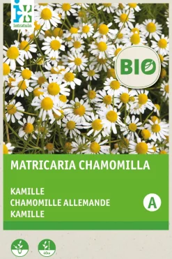 Intratuin Kamille (Matricaria chamomilla) (BIO) Samen| Kräutersamen|Saatgut