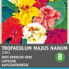 Intratuin Kapuzinerkresse (Tropaeolum majus 'Jewel') Blumensamen| Saatgut|Blühende Pflanzen