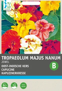 Intratuin Kapuzinerkresse (Tropaeolum majus 'Jewel') Blumensamen| Saatgut|Blühende Pflanzen