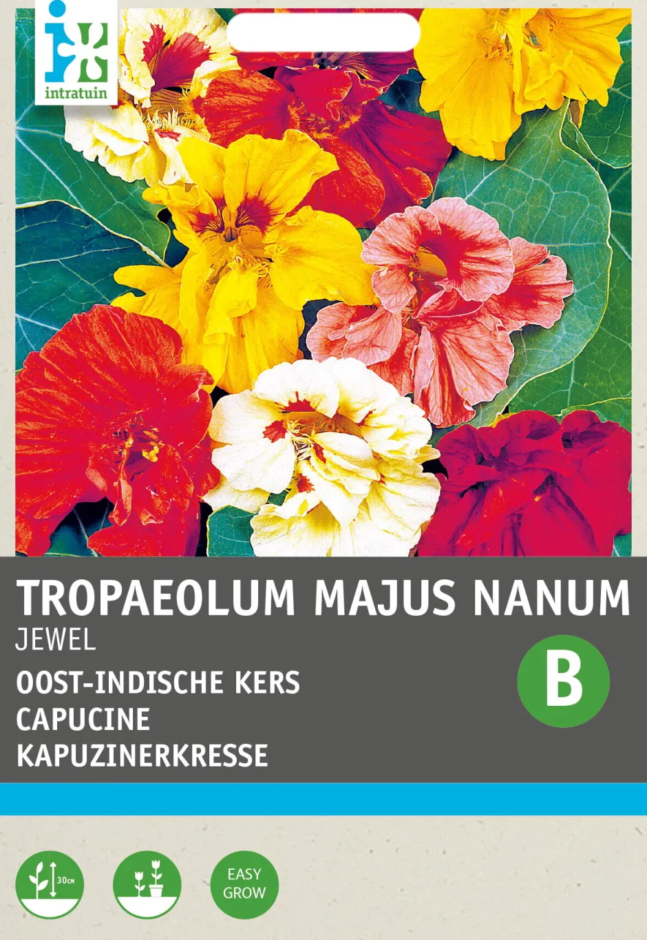 Intratuin Kapuzinerkresse (Tropaeolum majus 'Jewel') Blumensamen| Saatgut|Blühende Pflanzen