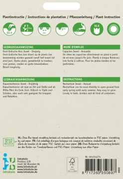 Intratuin Kapuzinerkresse (Tropaeolum majus 'Jewel') Blumensamen| Saatgut|Blühende Pflanzen