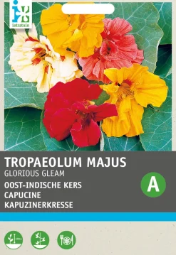 Intratuin Kapuzinerkresse (Tropaeolum 'Glorious Gleam') Blumensamen| Saatgut|Blühende Pflanzen