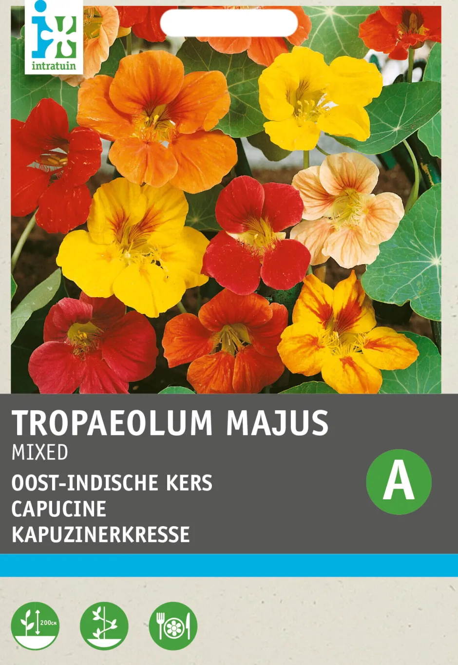 Intratuin Kapuzinerkresse (Tropaeolum majus) Blumensamen-Mischung| Saatgut|Blühende Pflanzen