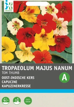 Intratuin Kapuzinerkresse (Tropaeolum 'Tom Thumb') Samen-Mischung| Saatgut|Blühende Pflanzen