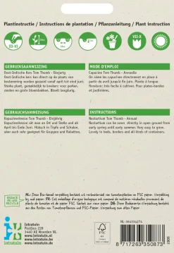 Intratuin Kapuzinerkresse (Tropaeolum 'Tom Thumb') Samen-Mischung| Saatgut|Blühende Pflanzen