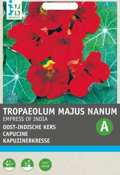 Intratuin Kapuzinerkresse rot (Tropaeolum majus nanum 'Impress of India') Blumensamen| Saatgut|Blühende Pflanzen