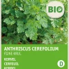 Intratuin Kerbel fein (Anthriscus cerefolium) (BIO) Samen| Kräutersamen|Saatgut