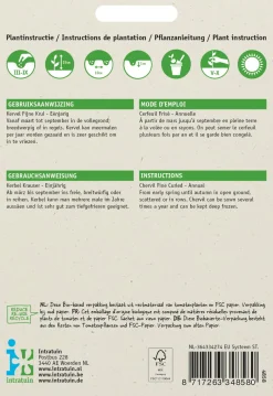 Intratuin Kerbel kraus (Anthriscus cerfolium 'Krauser') Samen| Kräutersamen|Saatgut